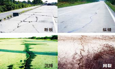 能解決的問題，以及典型病害圖例說明